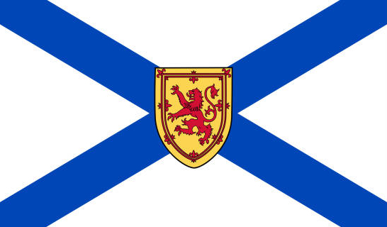 NS Flag